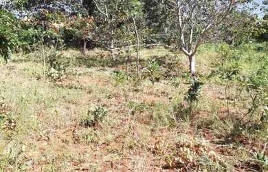 Imagem 4: Chácara de 1.700m² poço de peixe, toda cercada, São Jose do Almeida (Temos varias opções)