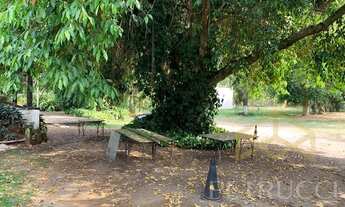 Imagem 4: Fazenda - Joaquim Egídio - Campinas