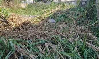 Imagem 2: Terreno para Venda em Florianópolis, Ingleses