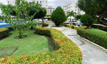 Imagem 1: Mar de aruana 1 53239