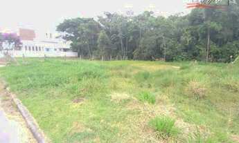 Imagem 3: Excelente terreno com escritura pública