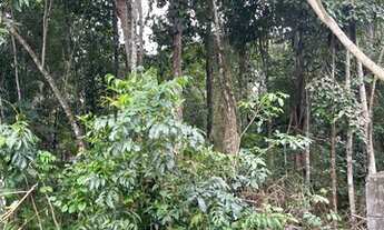 Imagem 7: Ótimo lote no Condomínio Passarinho