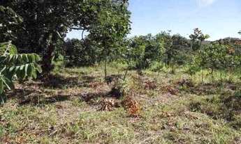 Imagem 5: Chácara de 1.700m² poço de peixe, toda cercada, São Jose do Almeida (Temos varias opções)