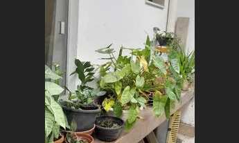 Imagem 4: Grande oportunidade!!!