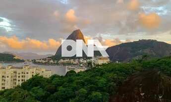 Imagem 5: Apartamento - / Residencial / Flamengo