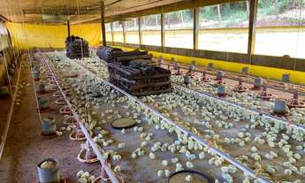 Imagem 7: Área rural com Aviários Cabreuva