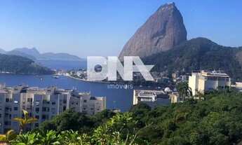 Imagem: Apartamento - / Residencial / Flamengo