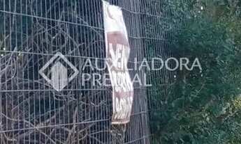 Imagem 4: Terreno urbano na santo inacio