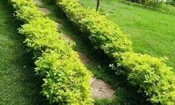 Imagem 3: Condomínio Fechado para Venda em Nova Friburgo, Campo do Coelho, 2 dormitórios, 2 banheiro