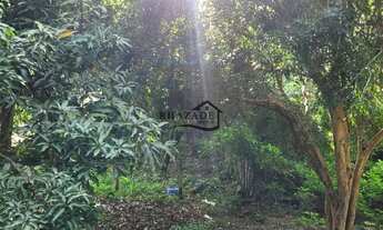 Imagem 3: Sítio em Piratininga (Jacaré), Niterói. Na frente do Ouro verde, 13000m2