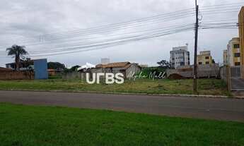 Imagem 5: Lote/Terreno para venda possui 2100 metros quadrados em Vila Rosa - Goiânia - GO