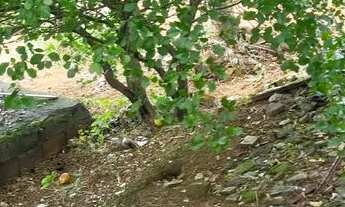 Imagem 3: Vende-se Casa com 2 dormitórios