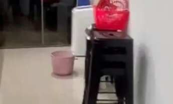 Imagem 4: Alugar casa mobiliada