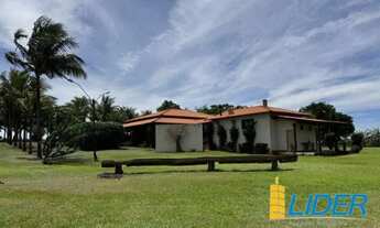 Imagem 6: Excelente fazenda dupla aptidão com 77 hectares e boas estruturas à venda em Indianópolis