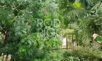 Imagem 5: CHÁCARA EM BIRITIBA MIRIM