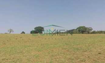 Imagem: Fazenda com 9,42 alqueires mineiro à venda