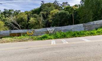 Imagem 4: Terreno - Pilarzinho - Parque Tangua - 2.012,50 m²