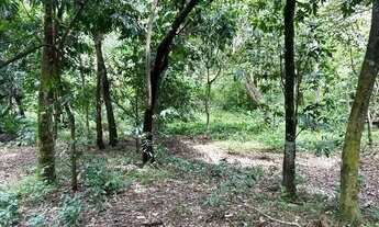 Imagem 6: Imóvel Chácara venda 1500 m2 em Área Rural de Senador Canedo - Senador Canedo - GO