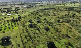 Imagem 6: Fazenda com 50 hectares na região de São Gonçalo do Amarante cortada pelo rio Potengi