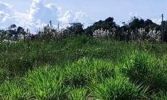 Imagem 2: Vendo terrenos no Nova Amazonas II, Açutuba, Residencial Amazonas