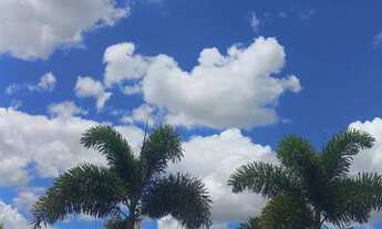 Imagem 7: Lote Plano no Jardim das Tulipas !