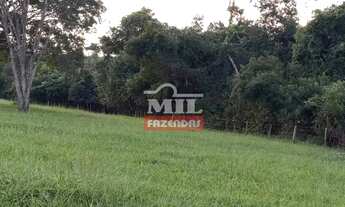 Imagem 3: Chácara 3,59 alqueires (17,38 hectares) Guapó - Go