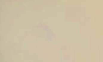 Imagem 5: Aluguel anual Fortaleza da Barra