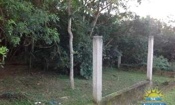 Imagem 7: Terreno próximo à avenida principal do Santinho