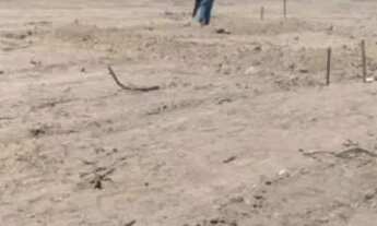 Imagem 2: Terreno 7 d frente por 20 d fundos