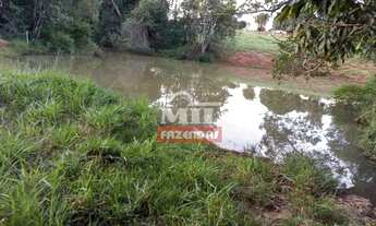 Imagem 7: Chácara 3,59 alqueires (17,38 hectares) Guapó - Go