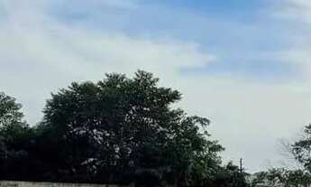 Imagem 4: Terreno à venda, Ingleses do Rio Vermelho, Florianópolis, SC