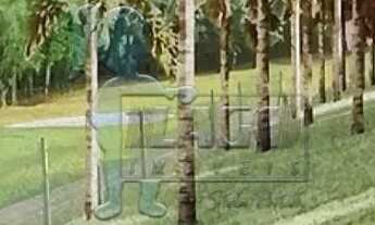 Imagem 4: Terreno de 554m² à venda em condomínio Reserva do Ipê - Vila do Golf