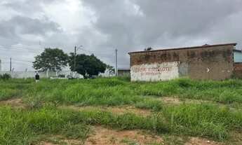 Imagem 3: Vende lote Himalaia