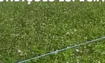 Imagem: 86c- COTIA LOTES PLANOS PERFEITO PARA SUA