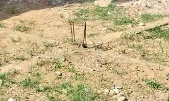 Imagem 6: Casa a venda com terreno