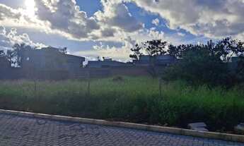 Imagem 3: Terreno/lote Estância Quintas da Alvorada QD 03 690m² nascente