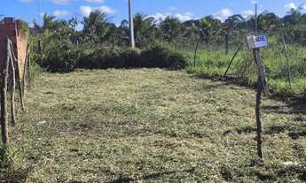 Imagem 4: Terreno na lagoa seca