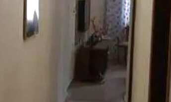 Imagem 7: Casa com 2 dormitórios à venda, 128 m² por R$ 518.999,99 - Jardim Progresso - Santo André