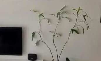 Imagem 5: Apartamento em Paraíso, São Paulo/SP