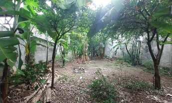 Imagem 6: TERRENO plano PECHINCHA EM Jacarapaguá 370m2