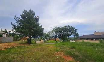 Imagem: Terreno à venda em São Leopoldo Nao