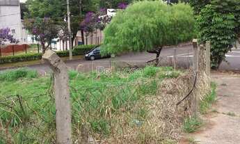 Imagem 6: Terreno - Jardim das Paineiras - Campinas