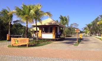 Imagem 6: Ilha dos Passaros lote