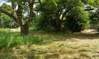 Imagem 3: Lote/Terreno 5.000m2 no Recreio Internaional