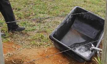 Imagem 4: Rural chacara - Centro