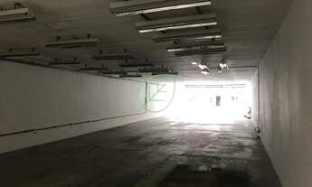 Imagem 3: Excelente galpão em Moema com 550m2