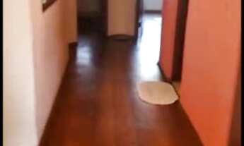 Imagem 2: Sobrado para venda com 294 metros quadrados Jardim D'Abril - Osasco - SP