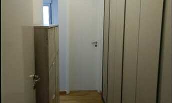 Imagem 7: OPORTUNIDADE CHÁCARA INGLESA