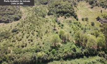 Imagem 4: Fazenda à Venda em Novo Triunfo - Bahia