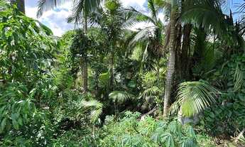 Imagem 2: Terreno à venda, 360 m² por R$ 265.000 - Boa Vista - Blumenau/SC